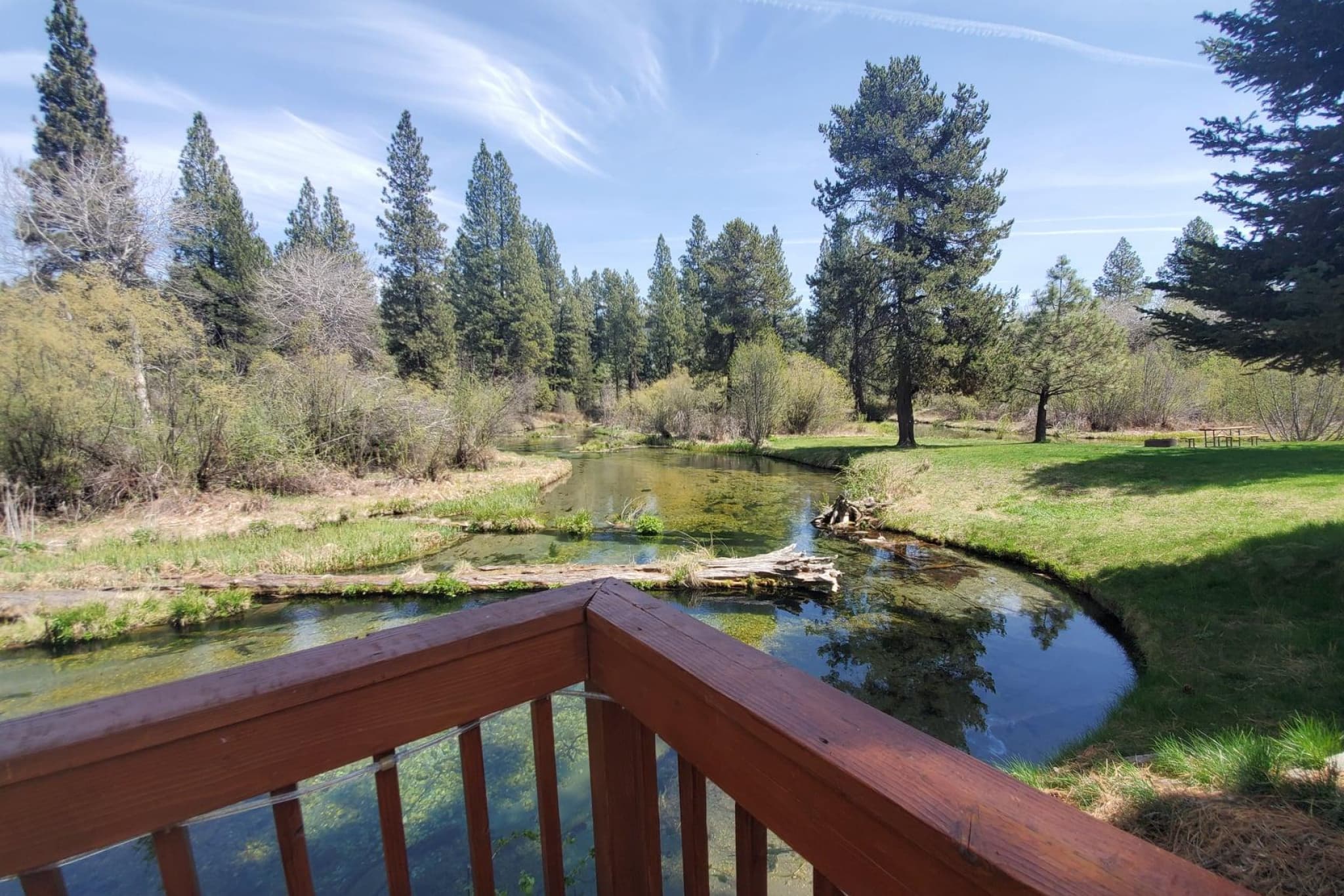 Family Creekside Cabin — photo 7