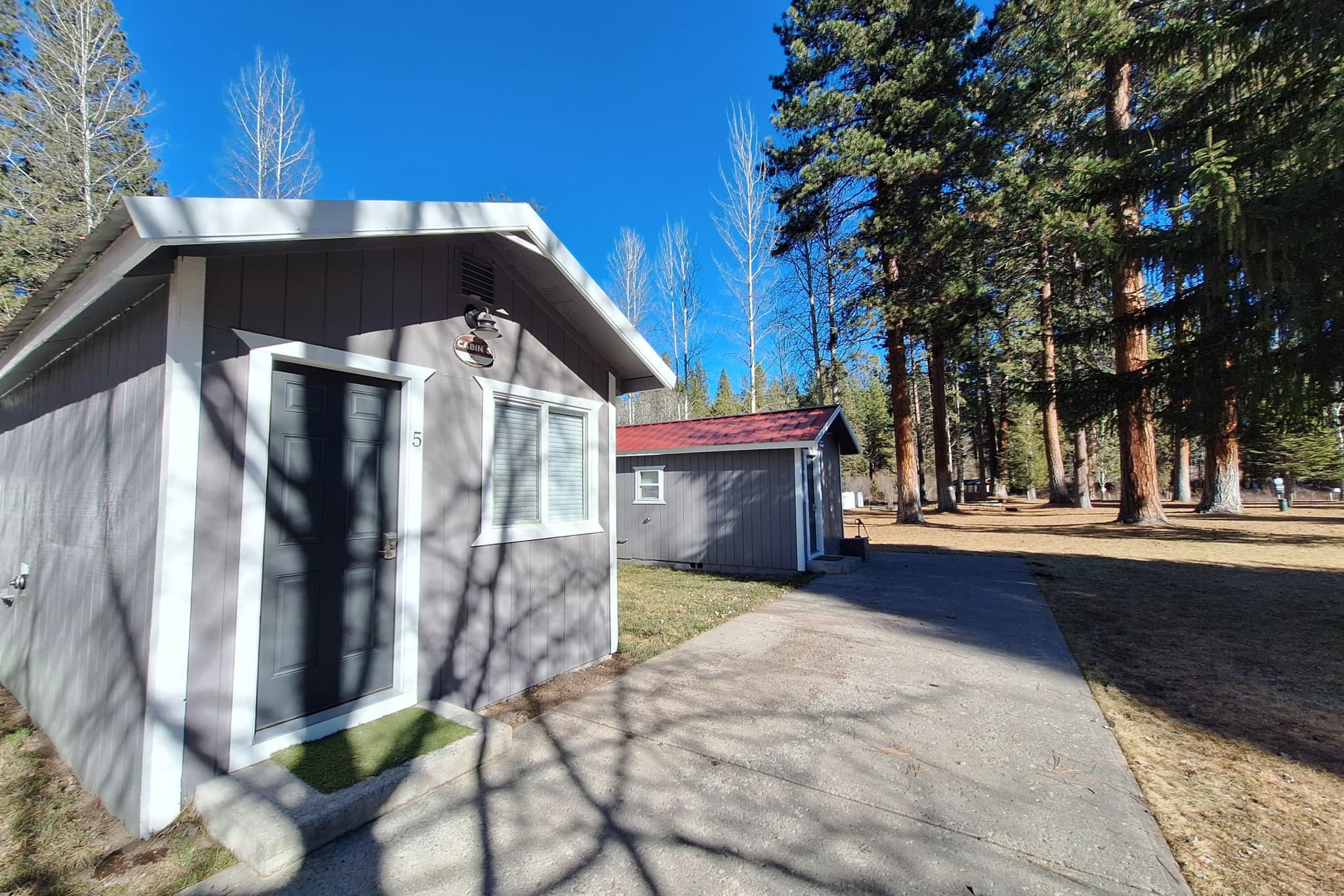 Studio Cabin