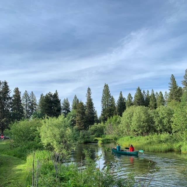 Fishing access along the river