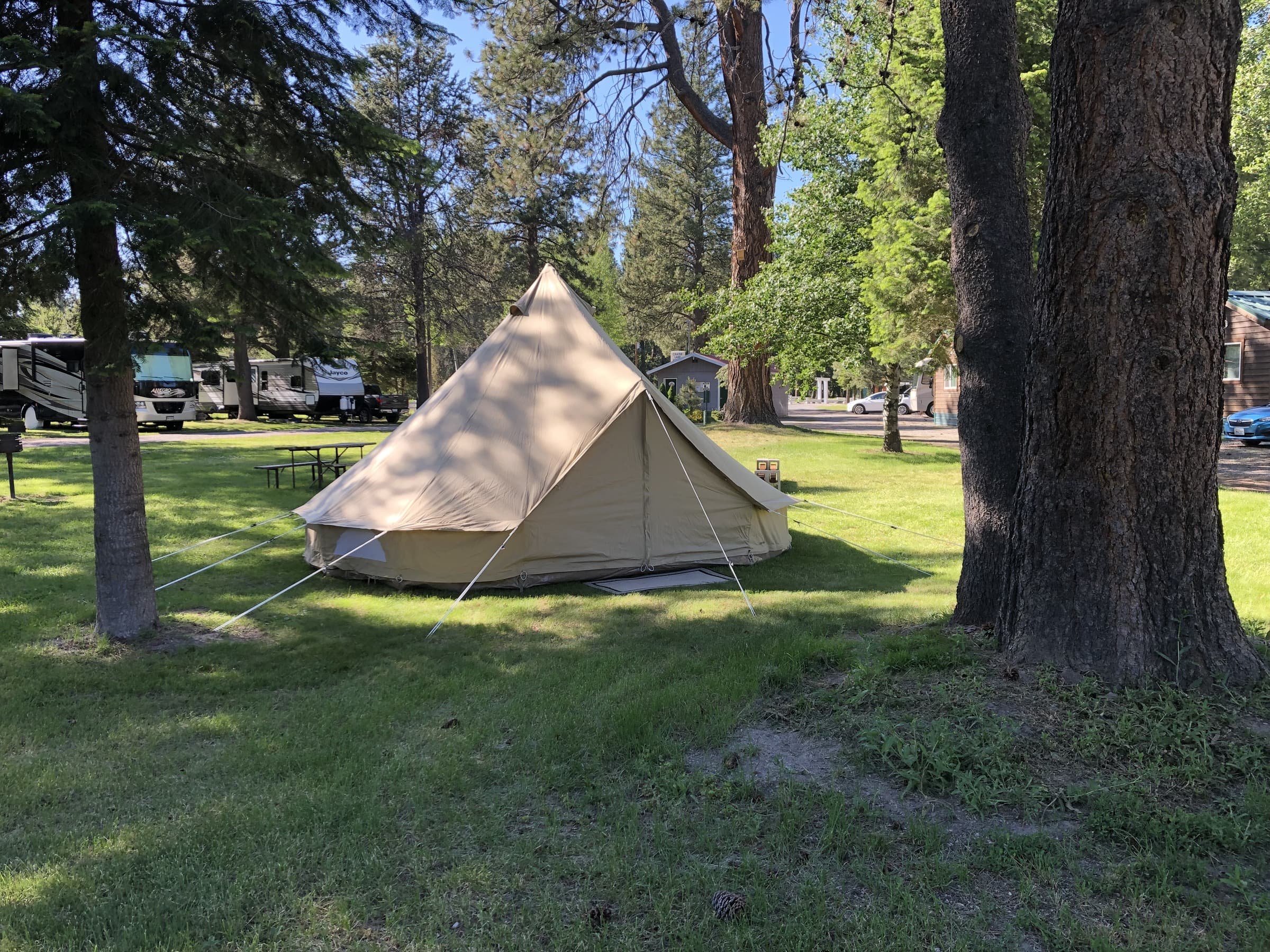 Canvas bell tent in a grassy clearing at Crater Lake Resort glamping site