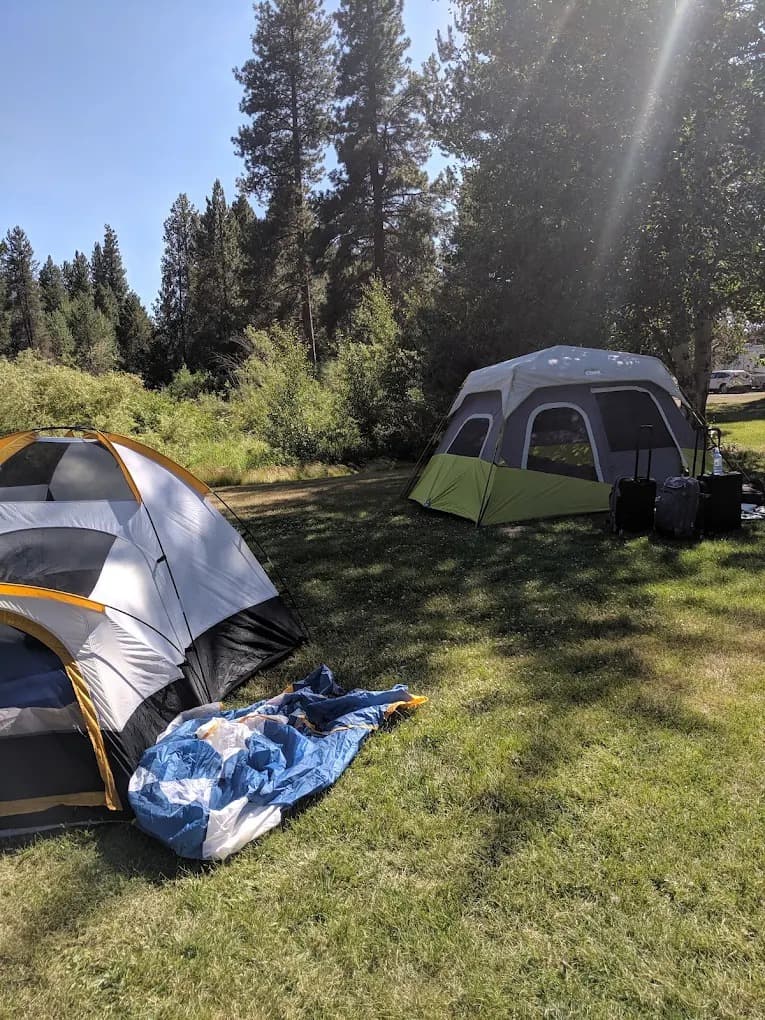 Two tents pitched in a clearing among tall pines at Crater Lake Resort
